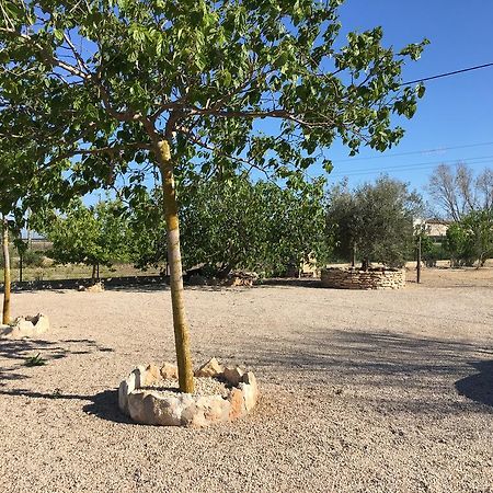 Caseta Les Creus Риумар Экстерьер фото